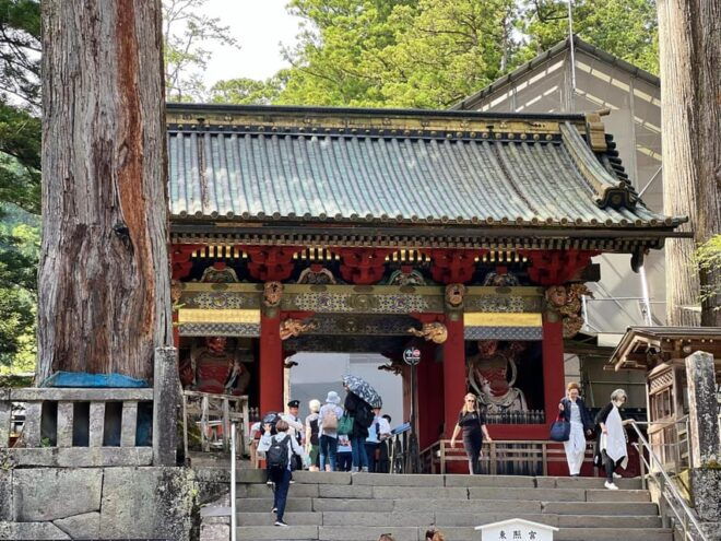 Niko One Day Private Tour With English Speaking Driver - Tips for Travelers