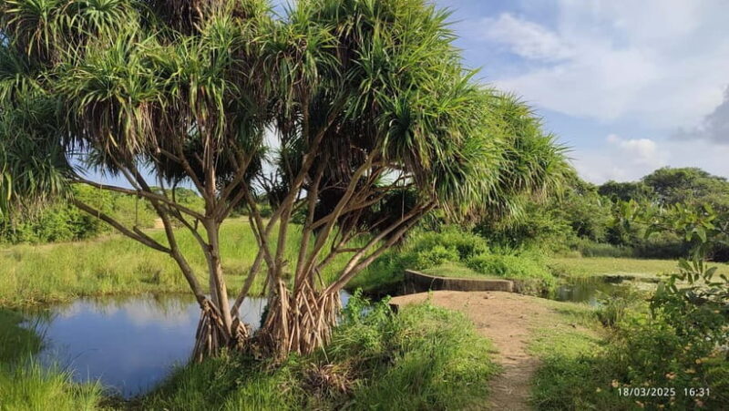 Nilaveli: Crocodile Lake with Lagoon Boat Safari - Good To Know