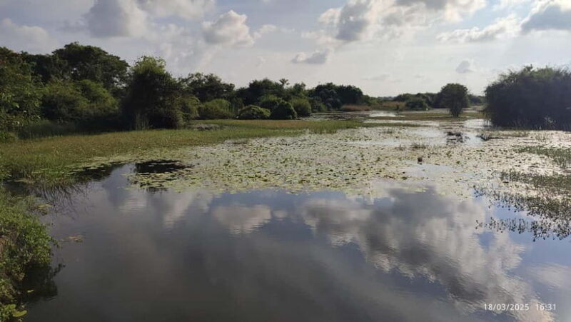 Nilaveli: Crocodile Lake with Lagoon Boat Safari - The Sum Up