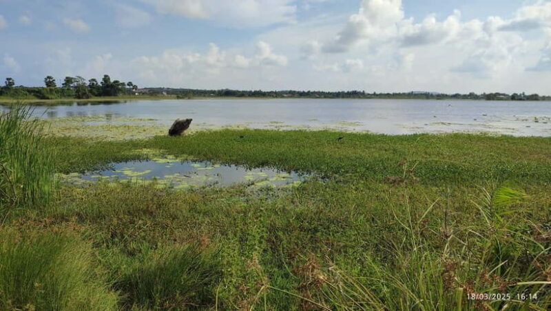 Nilaveli: Crocodile Lake with Lagoon Boat Safari - Good To Know
