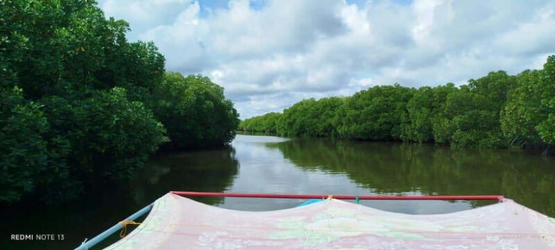Nilaveli: Lagoon Boat Safari with Mangrove Exploration - Good To Know