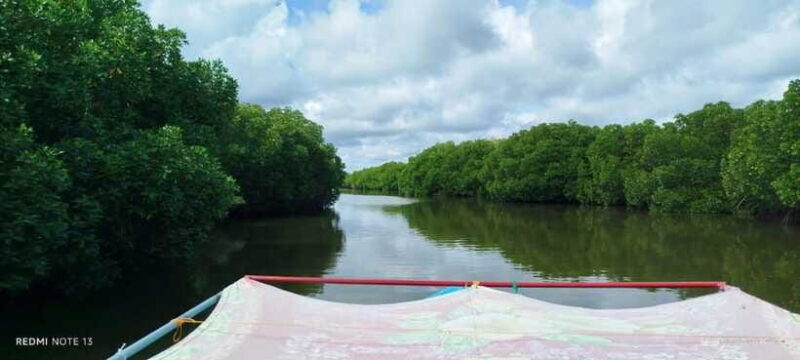 Nilaveli: Lagoon Boat Safari with Mangrove Exploration - Final Thoughts