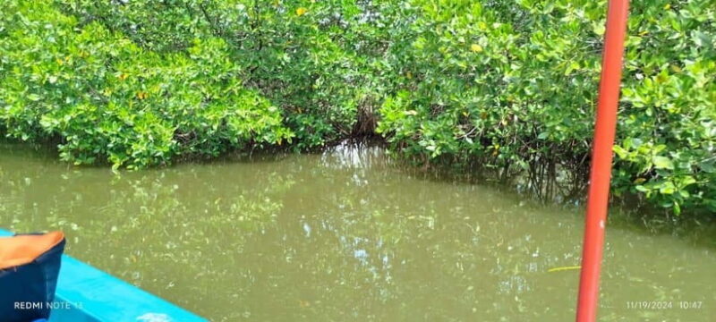 Nilaveli: Lagoon Boat Safari with Mangrove Exploration - The Sum Up
