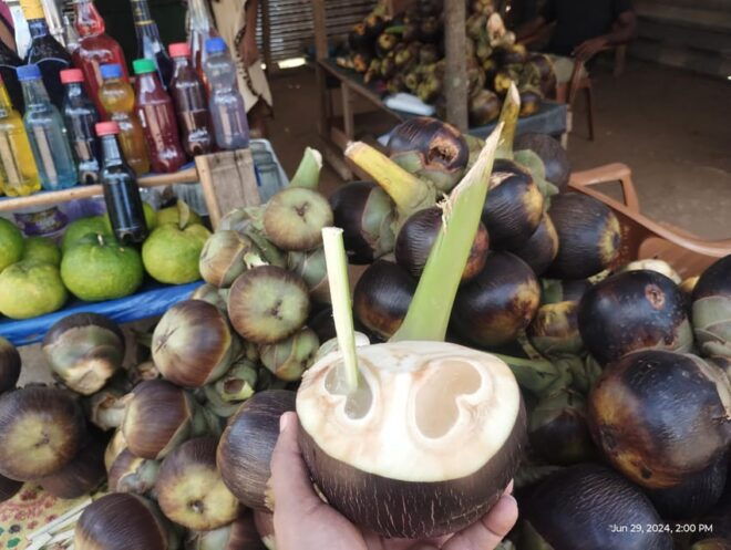 Nilaveli; Trinco City Tour by Tuk Tuk - Local Cultural Insights