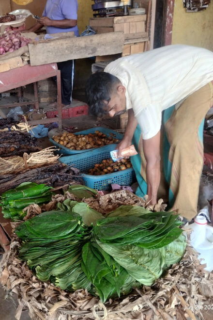 Nilaveli; Trinco City Tour by Tuk Tuk - Tour Guide Information