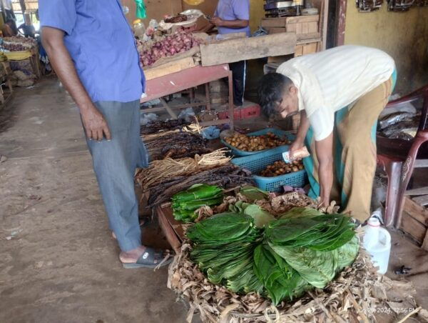 Nilaveli; Trinco City Tour by Tuk Tuk - Frequently Asked Questions