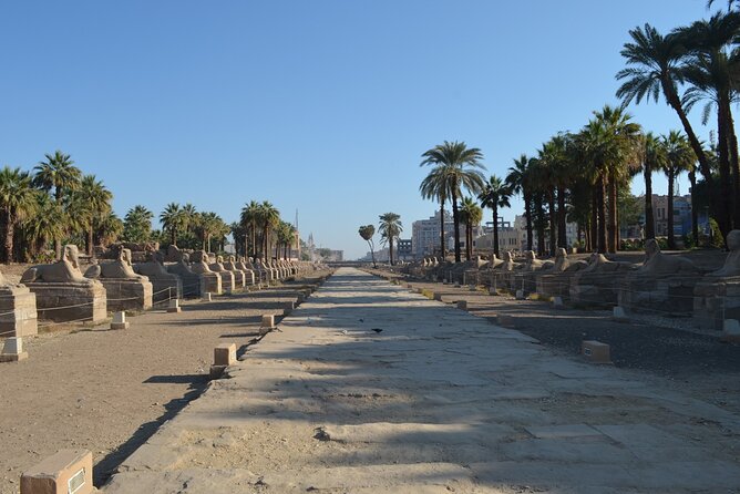 Nile Cruise 4-Days From Aswan to Luxor & Tours,Balloon ,Temples - Temple Visits
