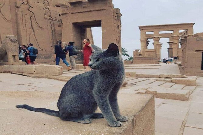 Nile Cruise Luxor and Aswan for 7 Nights Includes Tours,Abu Simbel,Air Balloon - Customer Reviews and Ratings