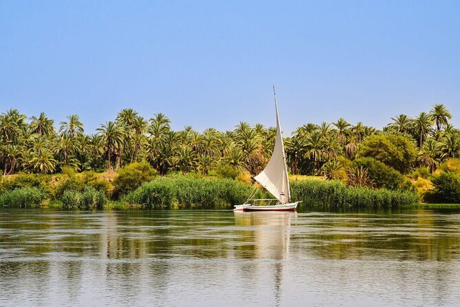 Nile Dinner Cruise With Live Show Including Transfers - Inclusions