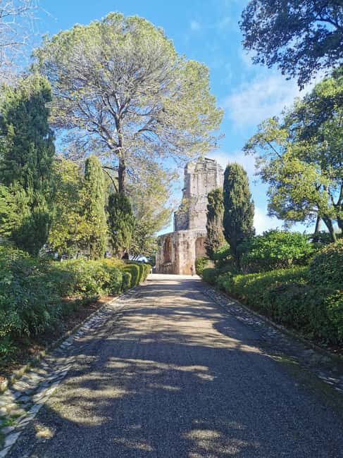 Nîmes - Experience a day like a Roman in ancient times - Detailed Review of the Roman Nîmes Tour