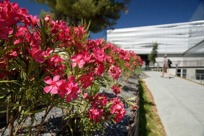 Nîmes: Museum of Romanity Skip-the-Line Entrance Ticket - Audio Guide and Language Options