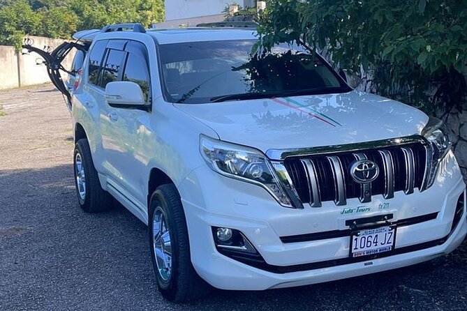 Nine Mile Bob Marley Mausoleum Transportation [ Birthplace ] - Overview of the Experience