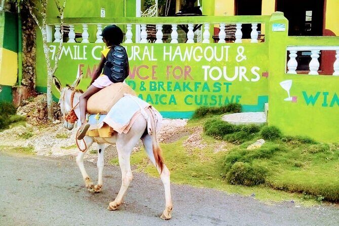 Nine Mile Ocho Rios Natural Attraction Tour - Good To Know