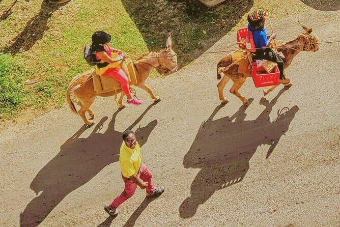 Nine Mile Ocho Rios Natural Attraction Tour - Final Thoughts