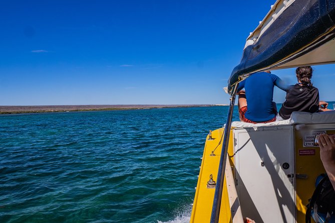 Ningaloo Immersion Private Charter - Pricing and Booking