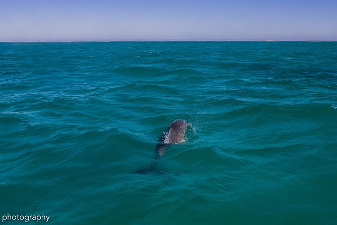 Ningaloo Immersion Private Charter - Itinerary and Inclusions