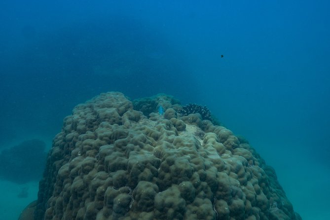Ningaloo Immersion Private Charter - Additional Information