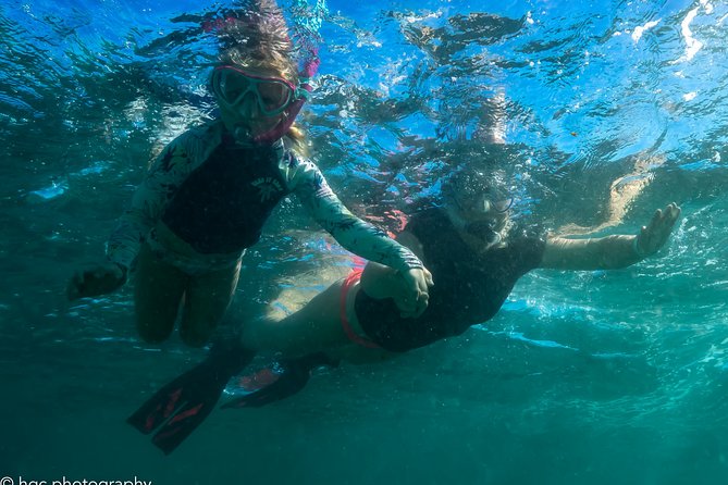 Ningaloo Immersion Private Charter - Background