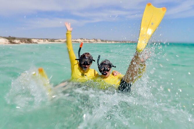Ningaloo Reef Snorkel Adventure - Pricing and Copyright Information