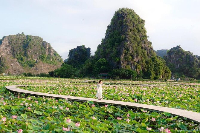 Ninh Binh 1 Day Trip With Hoa Lu- Tam Coc Boat & Cycling Village - Discovering Tam Coc Boat Ride