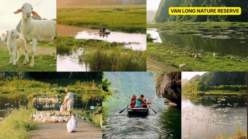 Ninh Binh: 2-hour Cooking Class & 4-hour Jeep Adventure - Good To Know