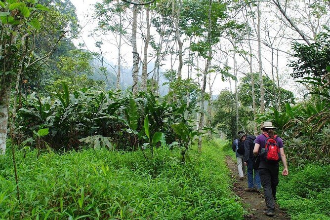 Ninh Binh 2Days/1Night With Boat Trip & Cuc Phuong National Park - Day 2: Trekking to the Ancient Cave of Hang Mua