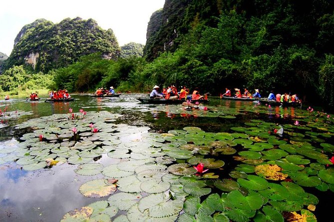 Ninh Binh - Bai Dinh Pagoda - Trang an Landscape Complex - Mua Cave Full Day - Reviews and Feedback From Travelers