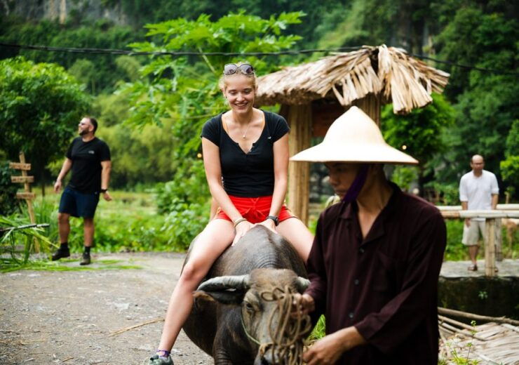 Ninh Binh: Buffalo Riding, Rice Planting Group Tour - Activity Details