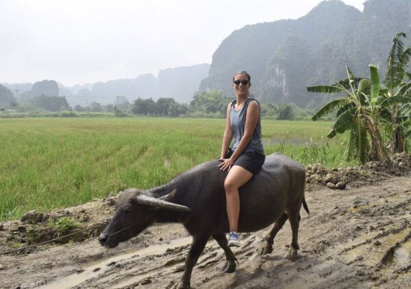 Ninh Binh: Buffalo Riding, Rice Planting Group Tour - The Sum Up