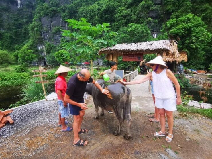 Ninh Binh : Countryside Tour by Motorcycle - Buffalow Riding - Good To Know
