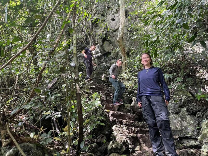 Ninh Binh: Cuc Phuong Jungle Trek, Wildlife & Ancient Caves - Prehistoric Cave with Relics