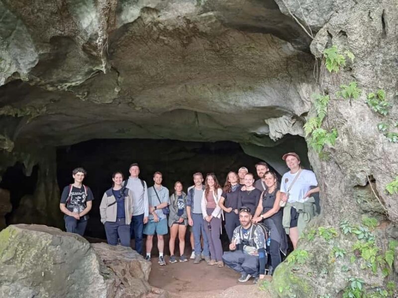 Ninh Binh: Cuc Phuong Jungle Trek, Wildlife & Ancient Caves - An In-Depth Look at the Cuc Phuong Tour