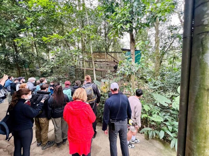 Ninh Binh: Cuc Phuong National Park, Jungle Hike & Wildlife - Final Thoughts