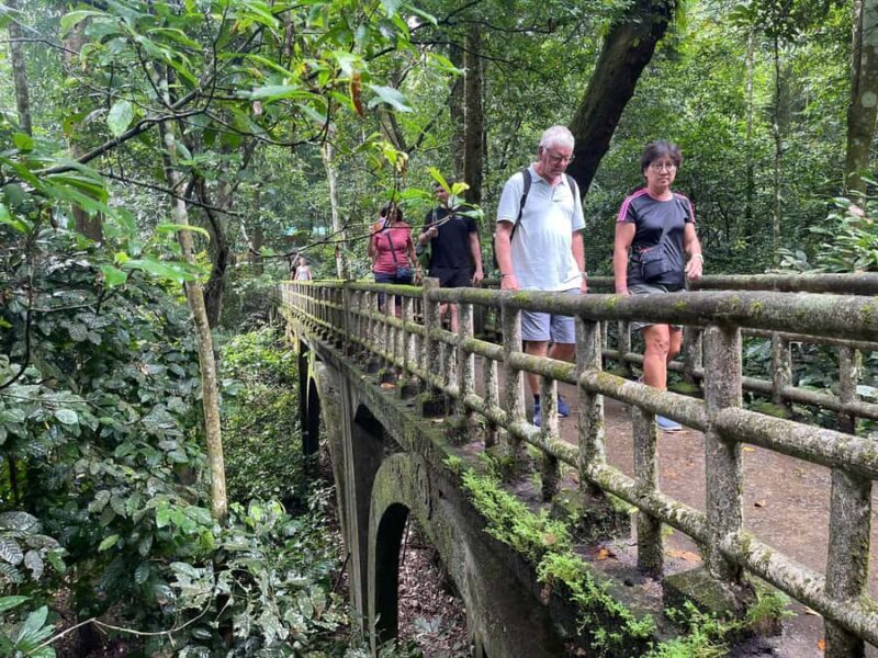Ninh Binh: CUC PHUONG Park Jungle Hike Day Tour, SMALL GROUP - An Authentic Day in Ninh Binh’s Wilderness