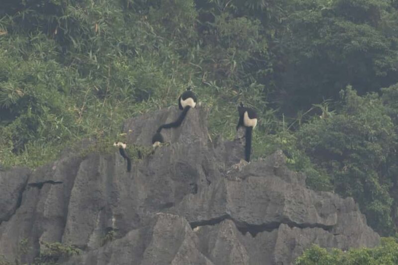 Ninh Binh: CUC PHUONG Park Jungle Hike Day Tour, SMALL GROUP - Final Thoughts