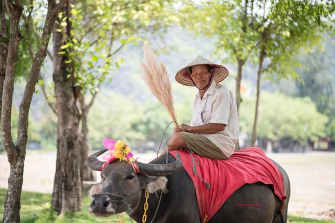 Ninh Binh Daily Tour: Hoa Lu - Tam Coc Boat Trip and Bike - Common Questions