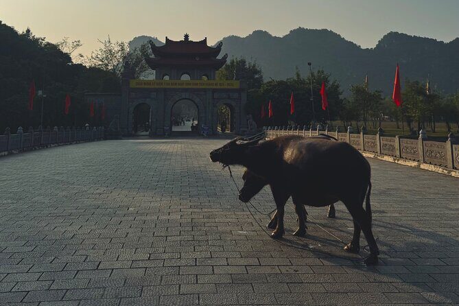 Ninh Binh Day Escape from Hanoi: Local Life, Connection & Tales - Good To Know
