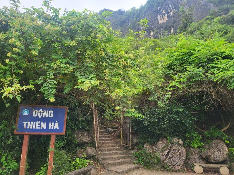 Ninh Binh Day Tour from Ha Noi: Bai Dinh Pagoda & Galaxy (Thien Ha) - Timing, flexibility, and who this suits