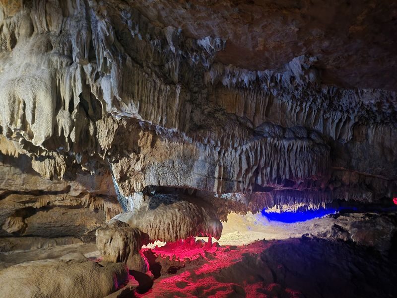 Ninh Binh Day Tour from Ha Noi: Bai Dinh Pagoda & Galaxy (Thien Ha) - Should you book this Ninh Binh day trip?