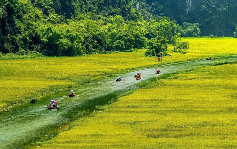 Ninh Binh Day Tour from Ha Noi: Hoa Lu, Tam Coc, Mua Cave - Mua Cave’s 500 steps are a real climb
