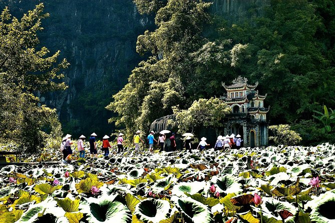 Ninh Binh Day Tour Small Group - Luxury Transfer - Tour Highlights