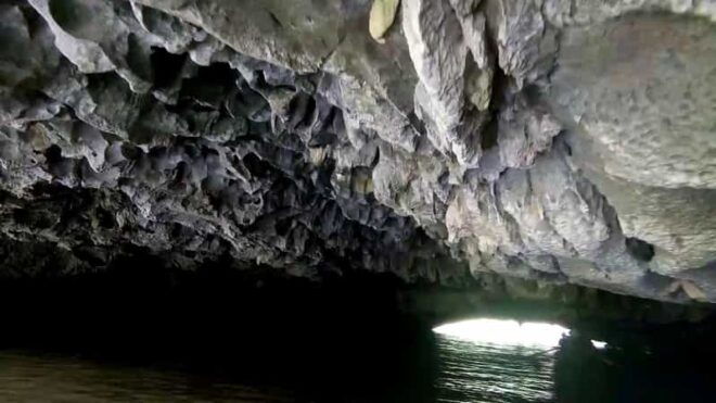 Ninh Binh Day Trip: Bai Dinh - Trang An - Mua Cave - Transportation and Logistics