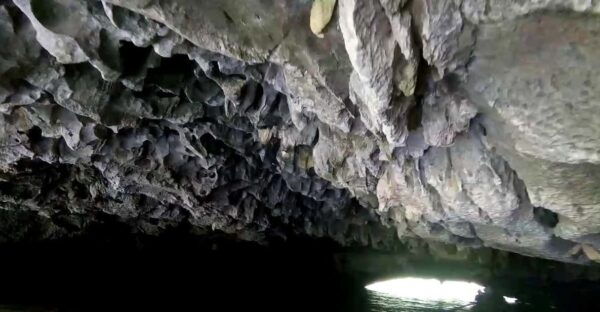 Ninh Binh Day Trip: Bai Dinh - Trang An - Mua Cave - Tips for a Successful Trip