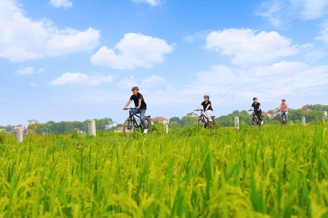 Ninh Binh Day Trip Small Group Tour For Sightseeing By Bike Boat - Affordable Pricing