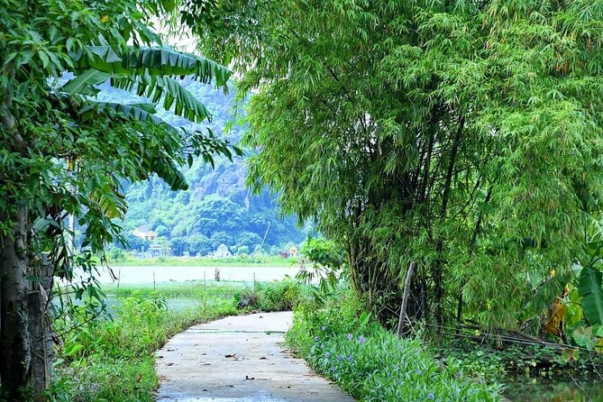 Ninh Binh Day Trip Small Group Tour For Sightseeing By Bike Boat - Terms and Conditions