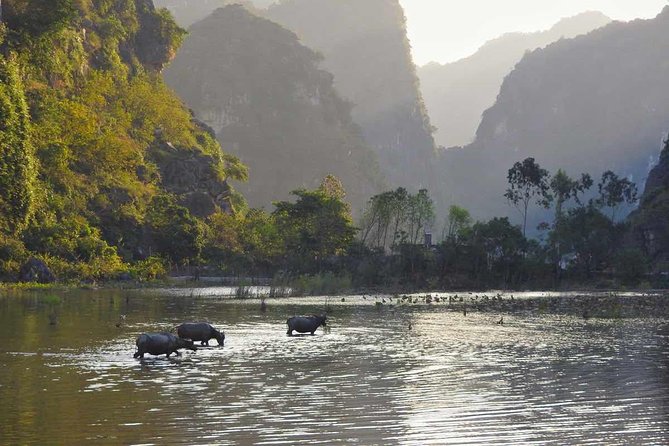 Ninh Binh Deluxe Tour: Hoa Lu - Tam Coc - Mua Cave(Limousine Bus) - Optional Stay in Ninh Binh