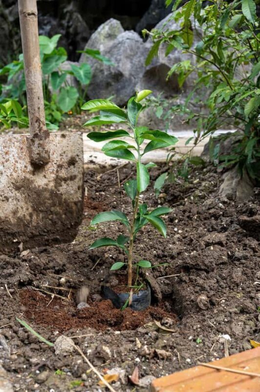 Ninh Binh: Dundj Valley Tree Planting & Nature Experience - Final Thoughts