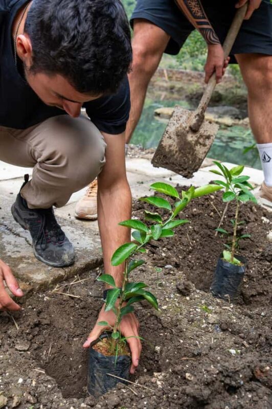 Ninh Binh: Dundj Valley Tree Planting & Nature Experience - FAQs