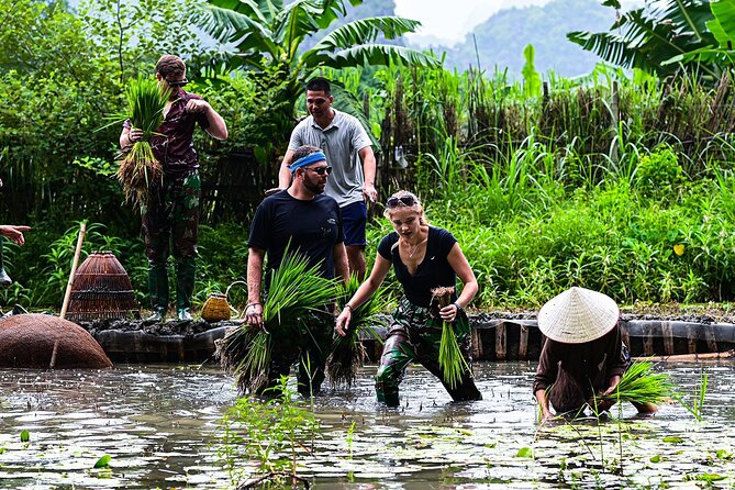 Ninh Binh Eco Group Tour - Buffalo Riding, Rice Planting, Fishing - Traveler Photos and Reviews