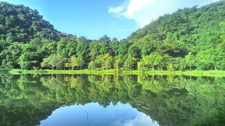 Ninh Binh: Explore Cuc Phuong National Park Full Day - Highlights and Experiences